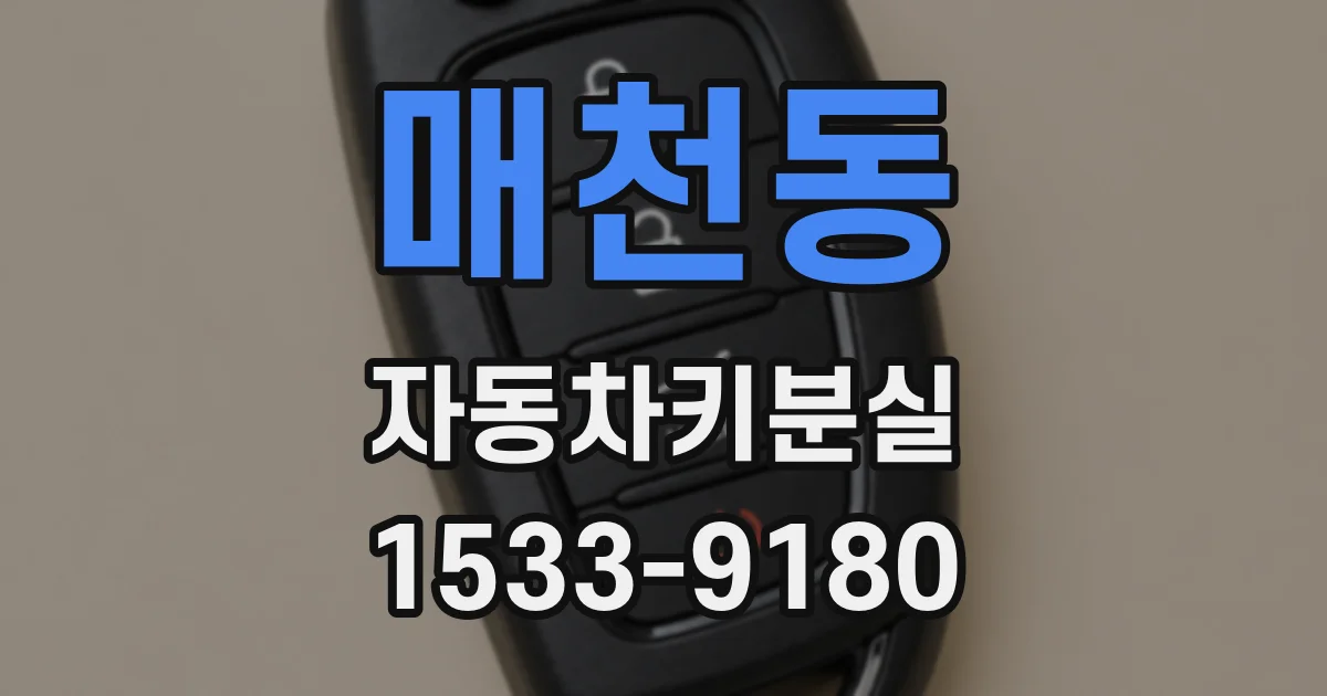매천동 자동차키분실