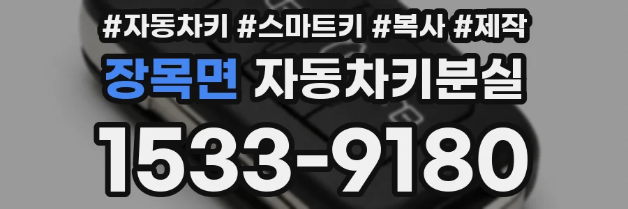 장목면 자동차키분실
