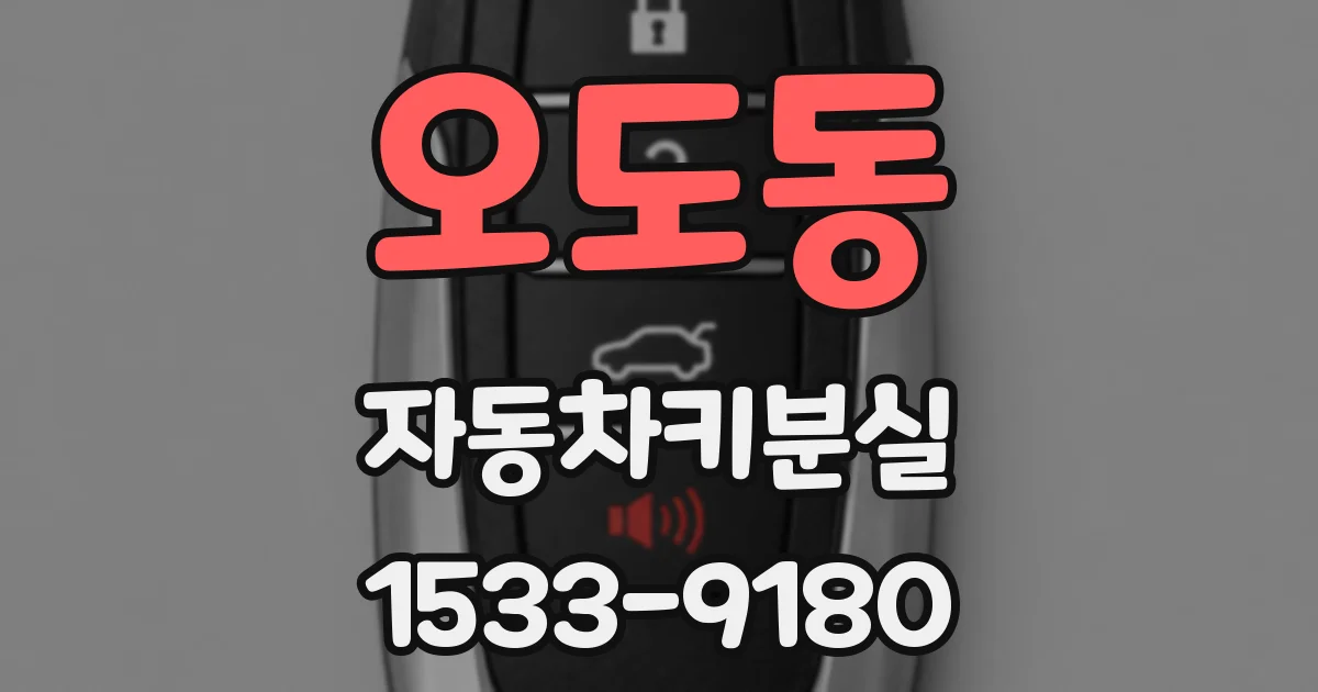 오도동 자동차키분실