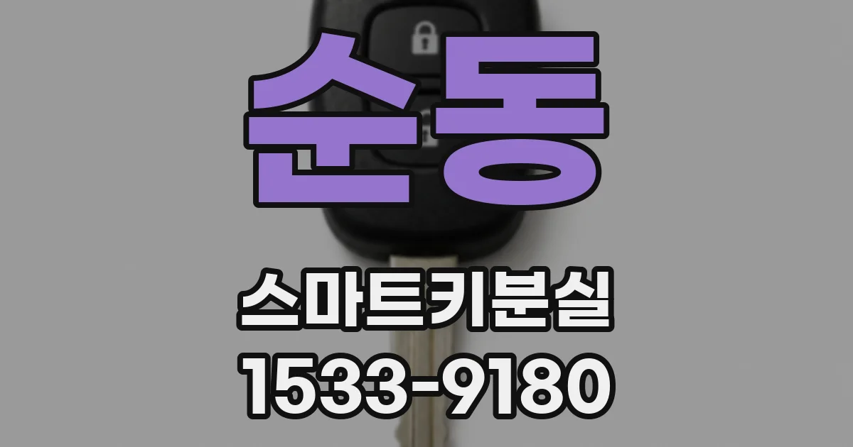 순동 스마트키분실
