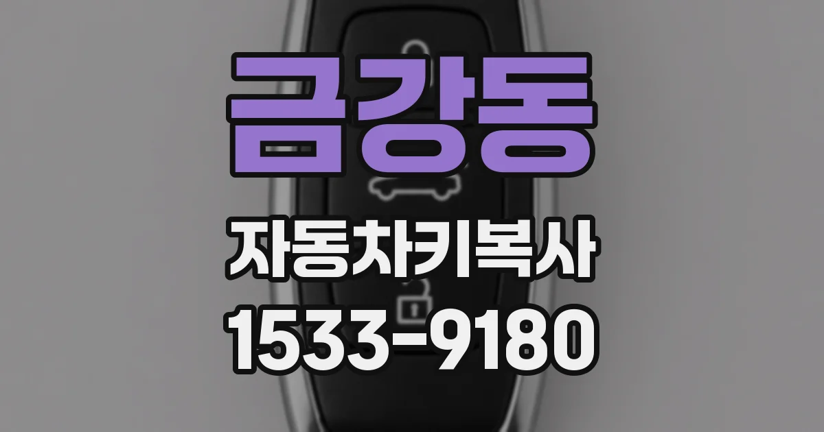금강동 자동차키복사