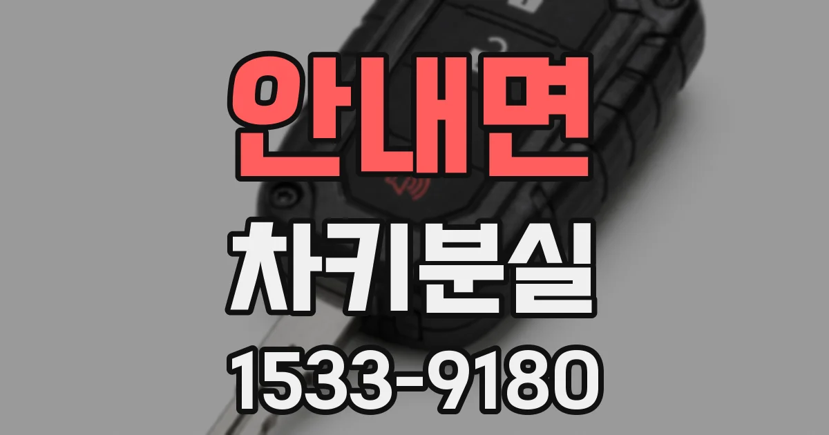 안내면 차키분실