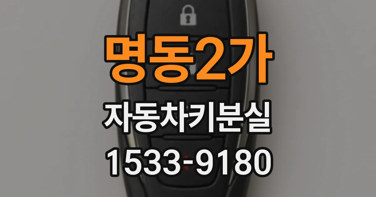 명동2가 자동차키분실