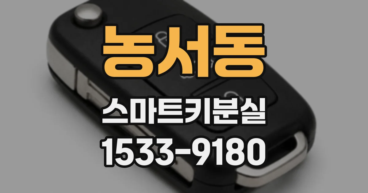 농서동 스마트키분실