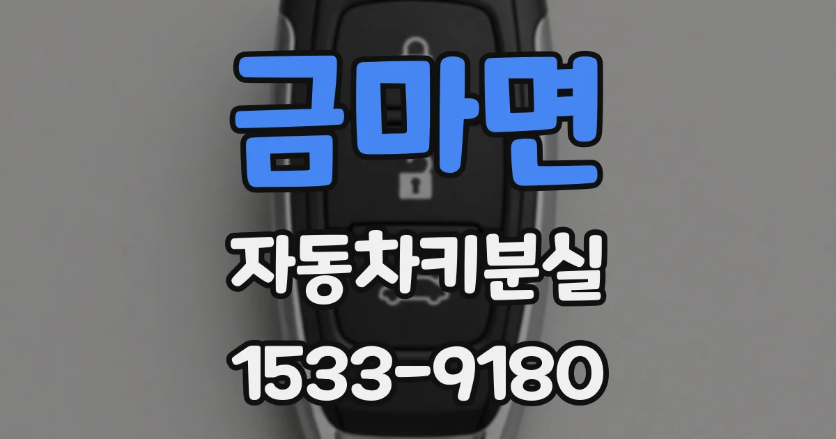 금마면 자동차키분실