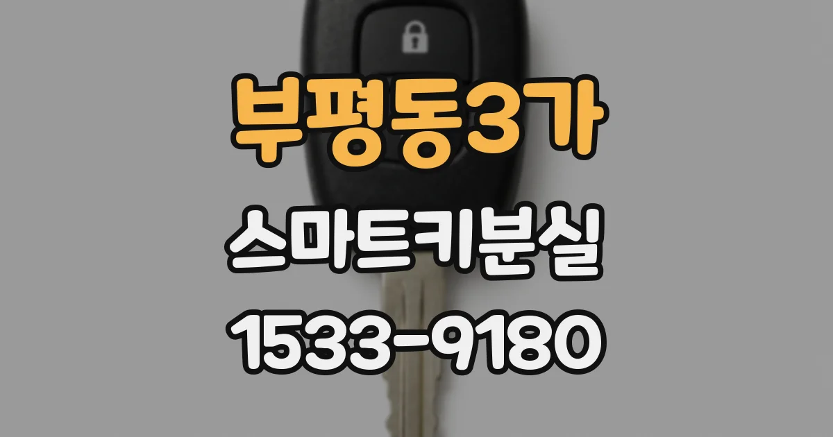 부평동3가 스마트키분실