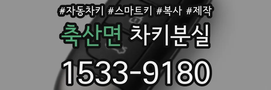 축산면 차키분실