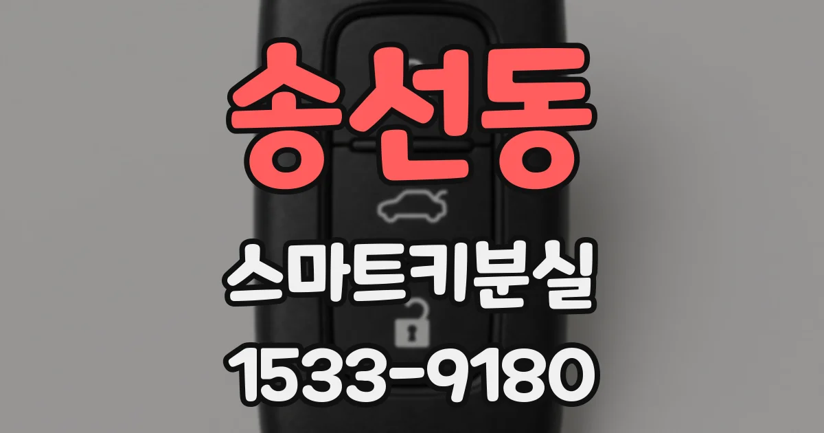 송선동 스마트키분실