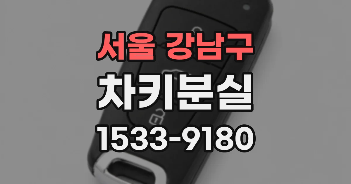 서울 강남구 차키분실