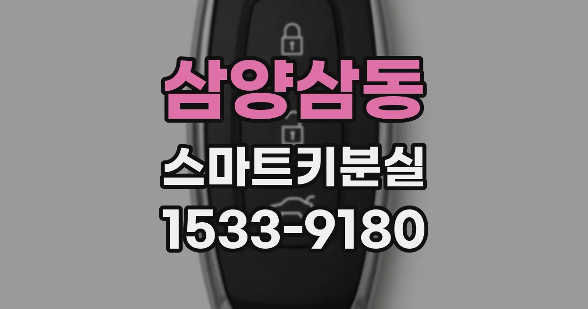 삼양삼동 스마트키분실