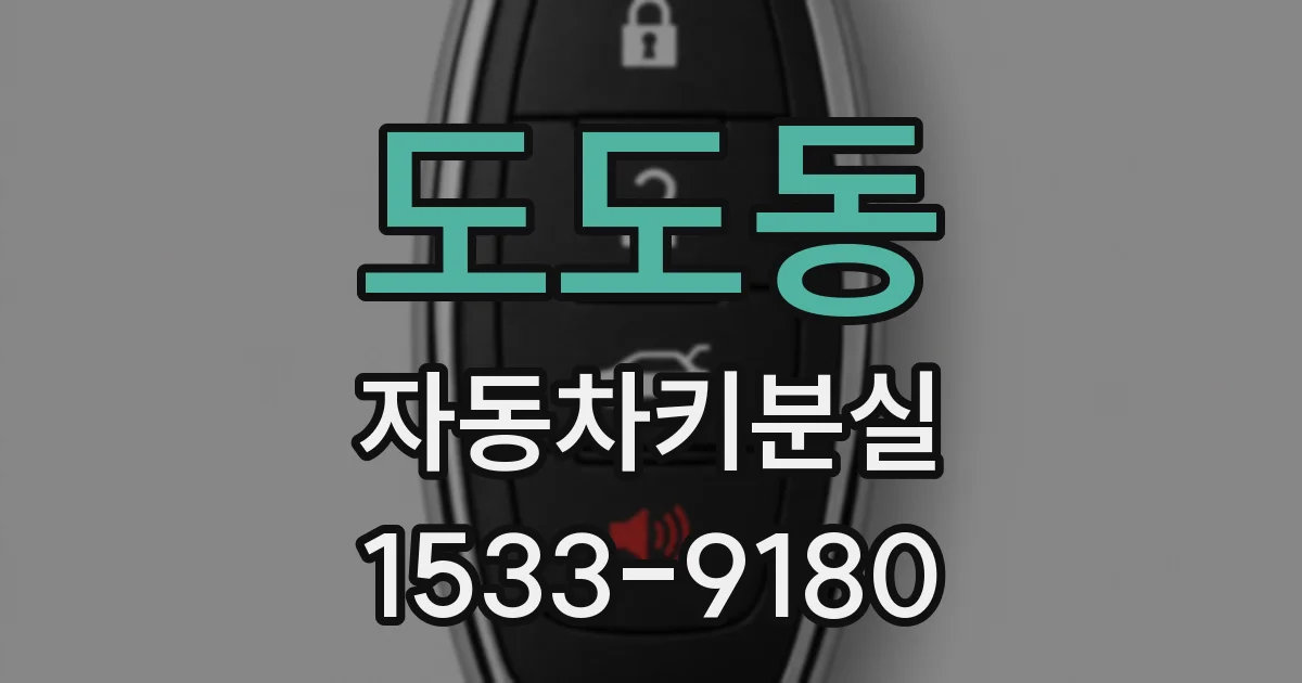 도도동 자동차키분실