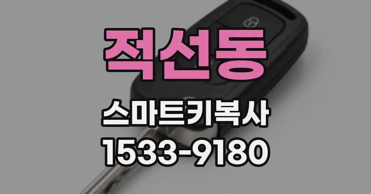 적선동 스마트키복사