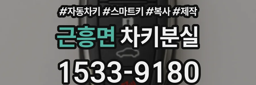 근흥면 차키분실