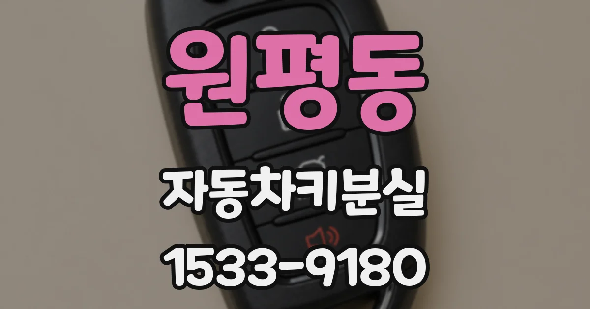 원평동 자동차키분실