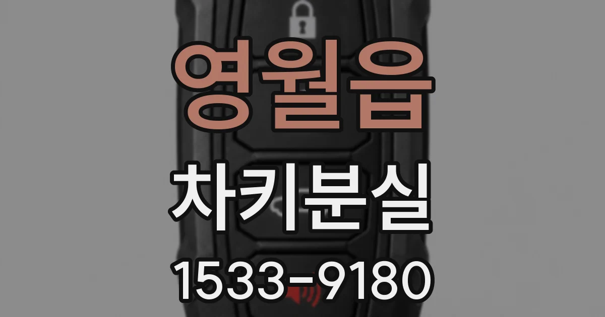 영월읍 차키분실