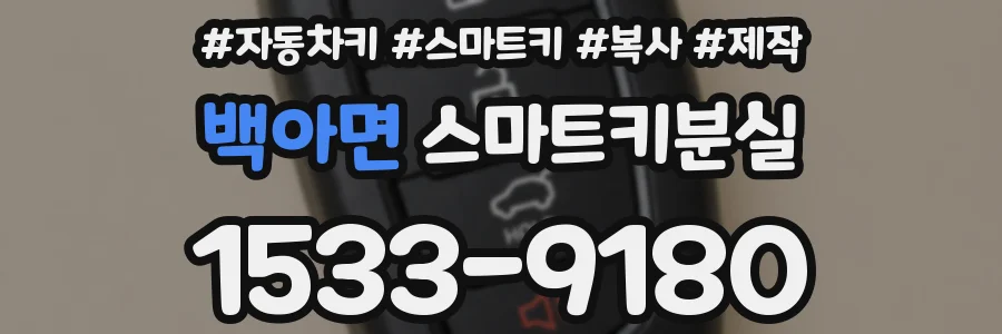 백아면 스마트키분실