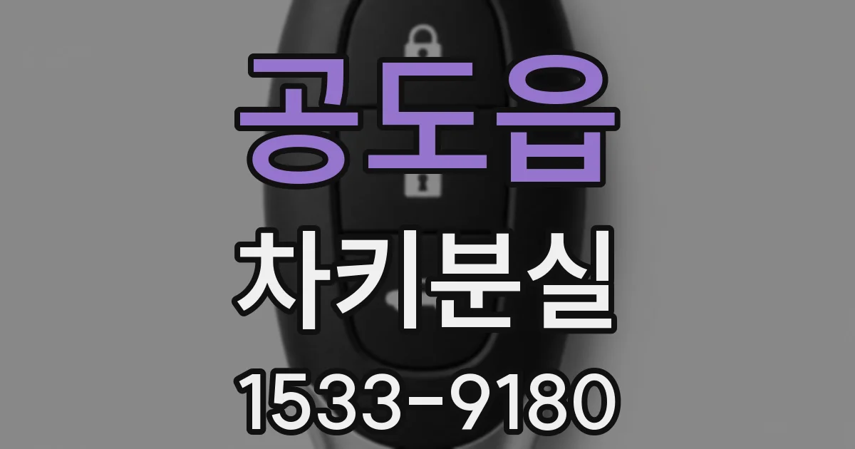 공도읍 차키분실