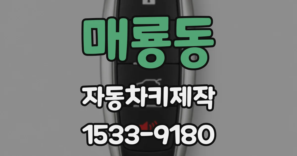 매룡동 자동차키제작