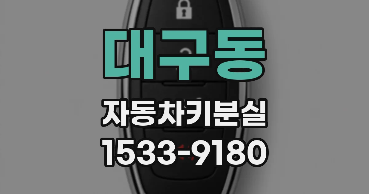대구동 자동차키분실