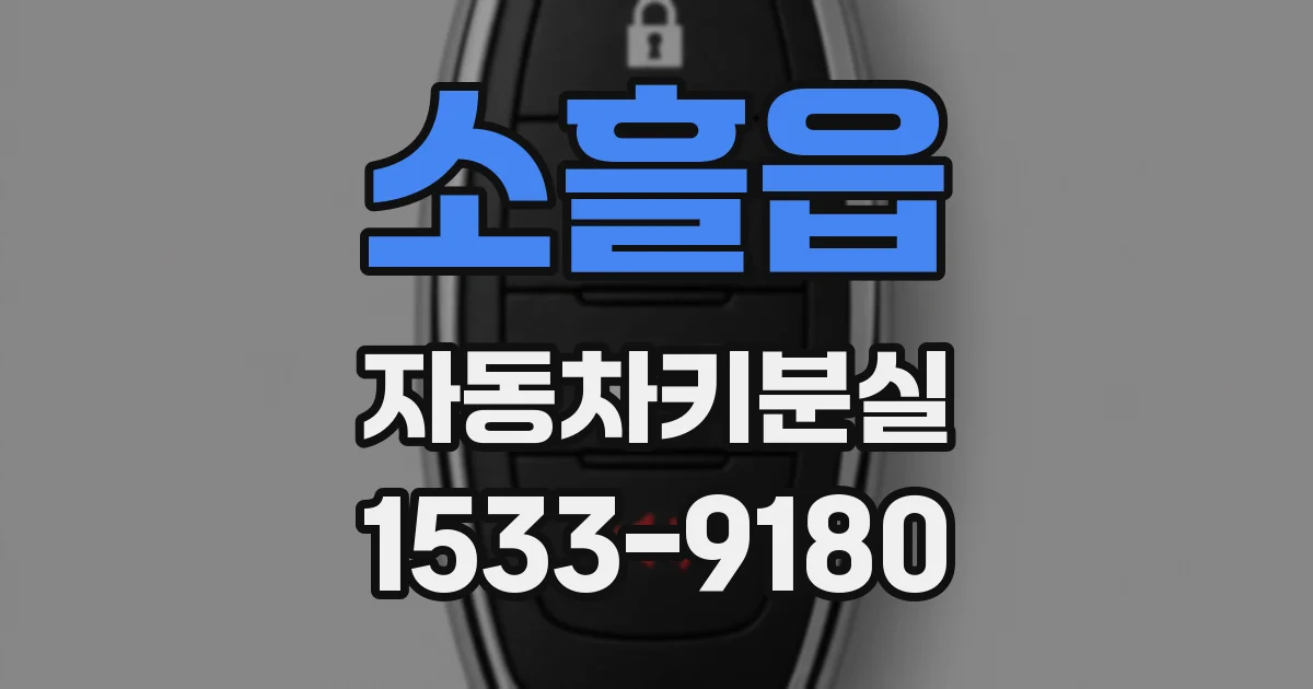 소흘읍 자동차키분실