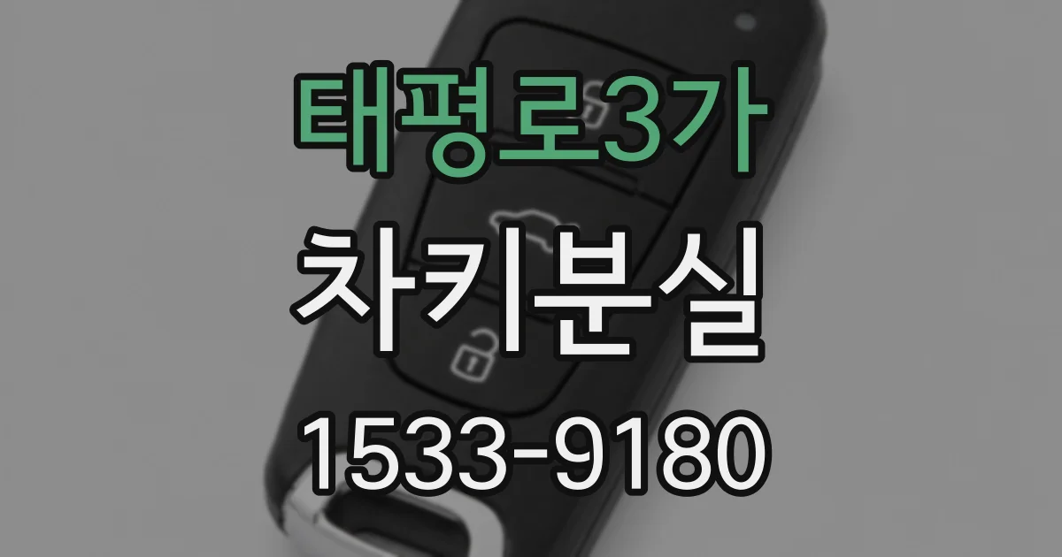 태평로3가 차키분실