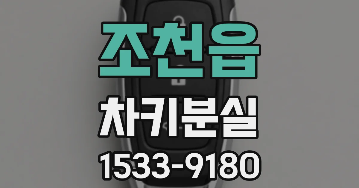 조천읍 차키분실