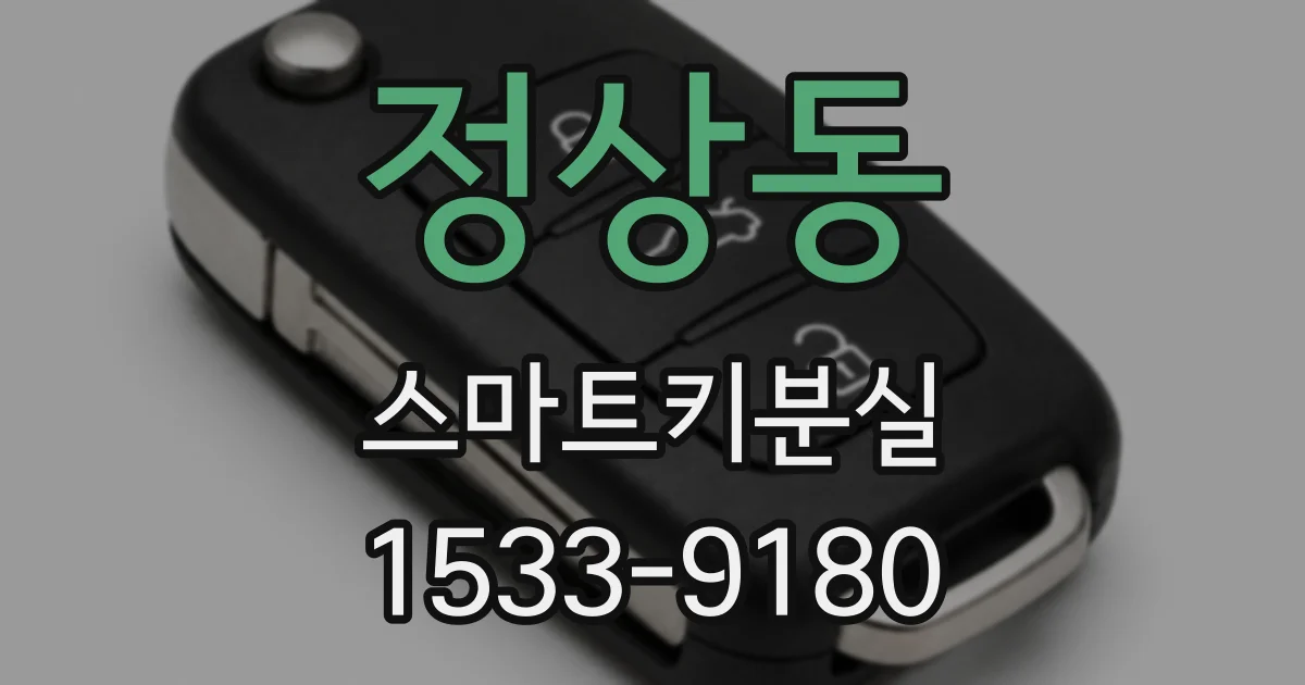 정상동 스마트키분실