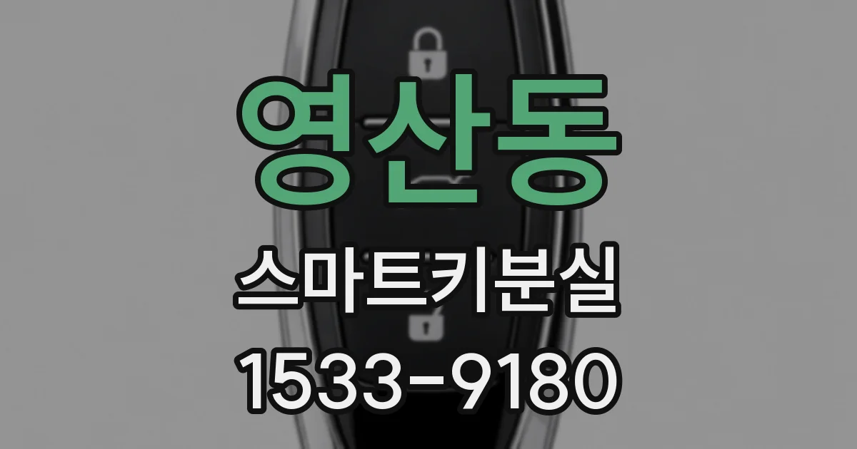 영산동 스마트키분실
