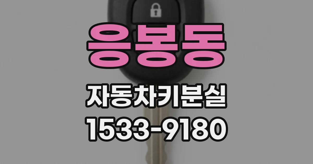 응봉동 자동차키분실
