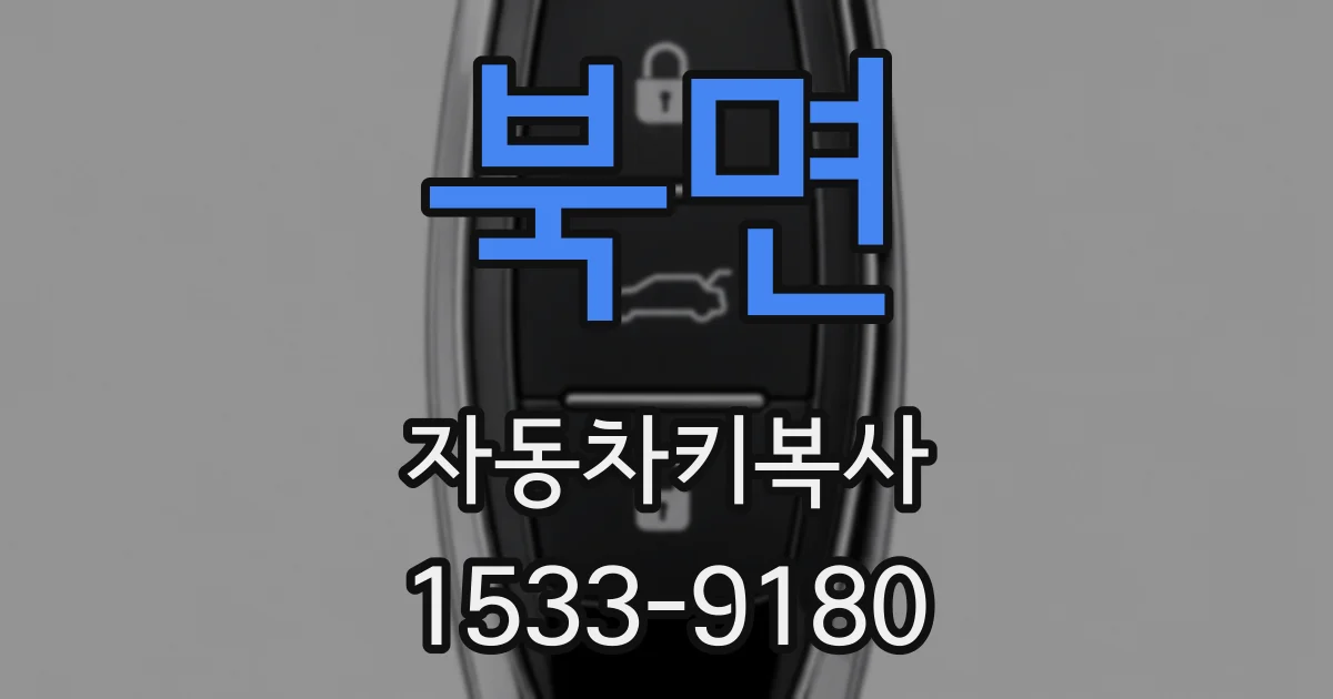 북면 자동차키복사