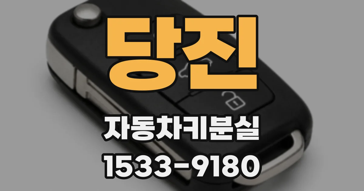 당진 자동차키분실