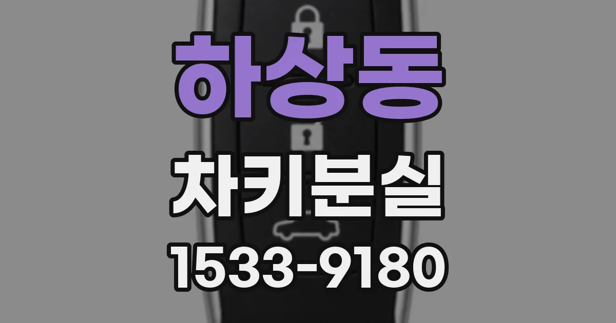 하상동 차키분실