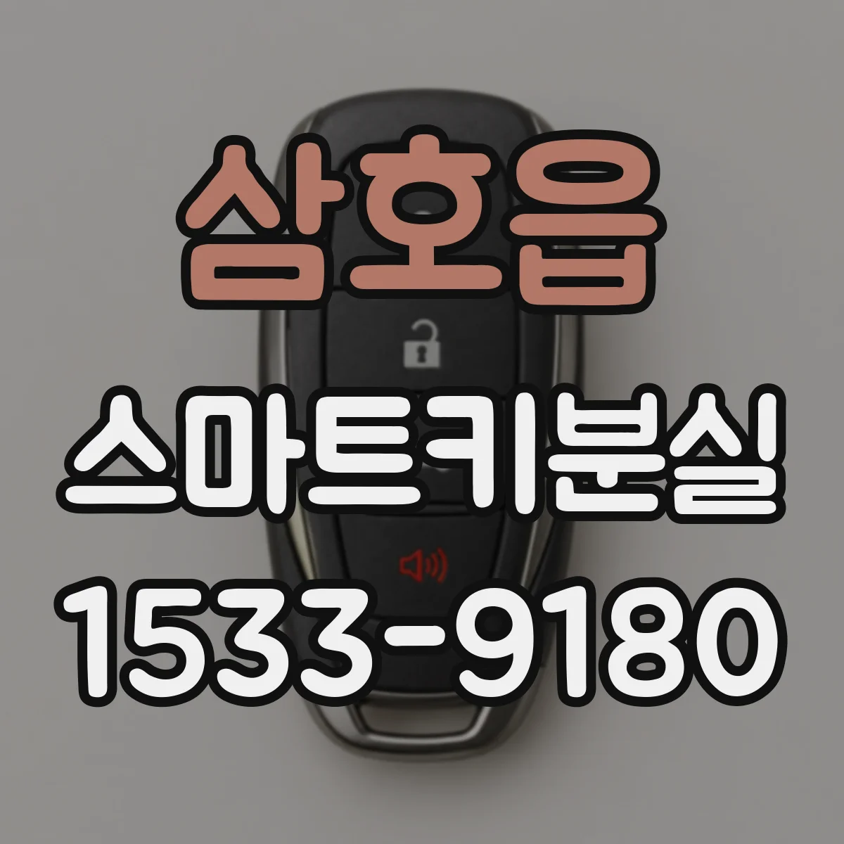 삼호읍 스마트키분실