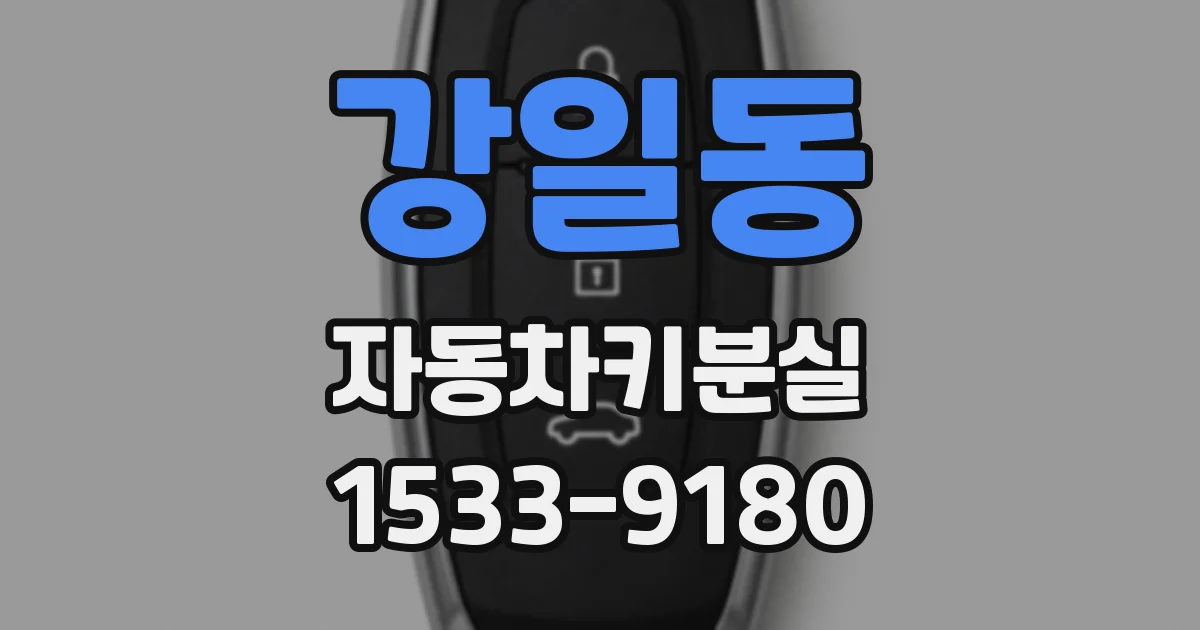 강일동 자동차키분실