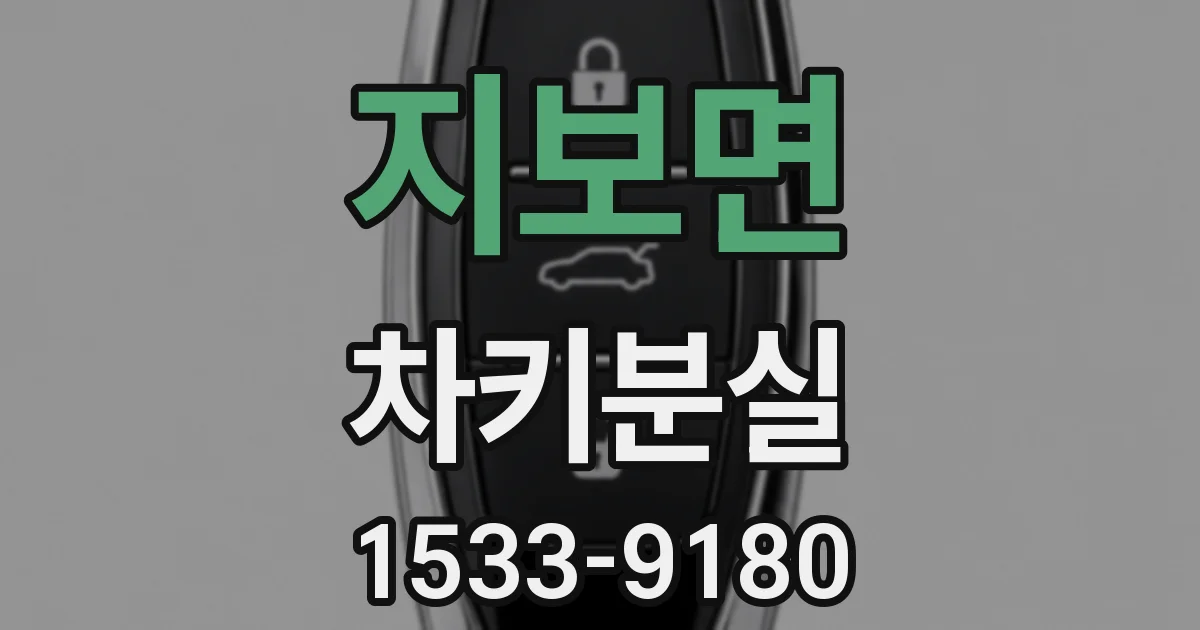 지보면 차키분실