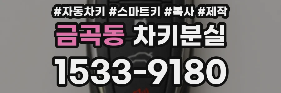 금곡동 차키분실