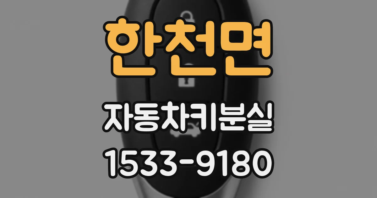 한천면 자동차키분실