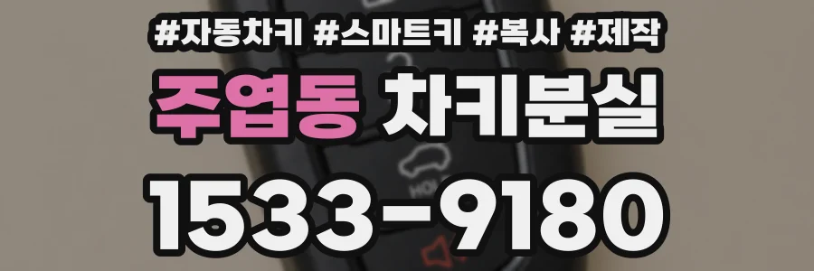 주엽동 차키분실