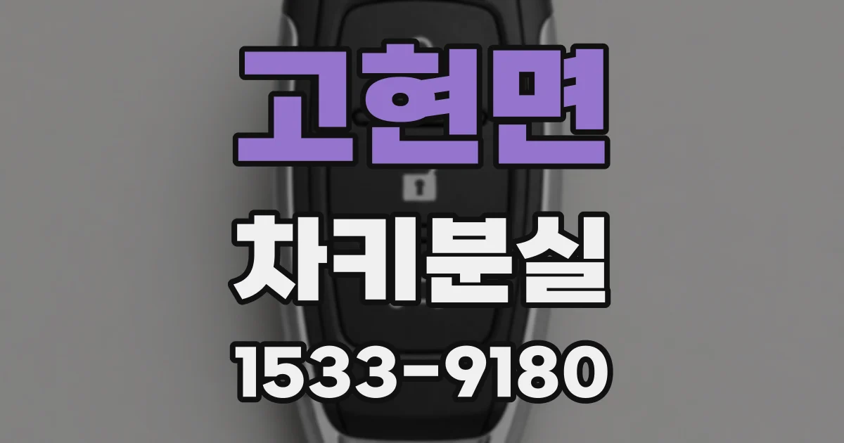 고현면 차키분실
