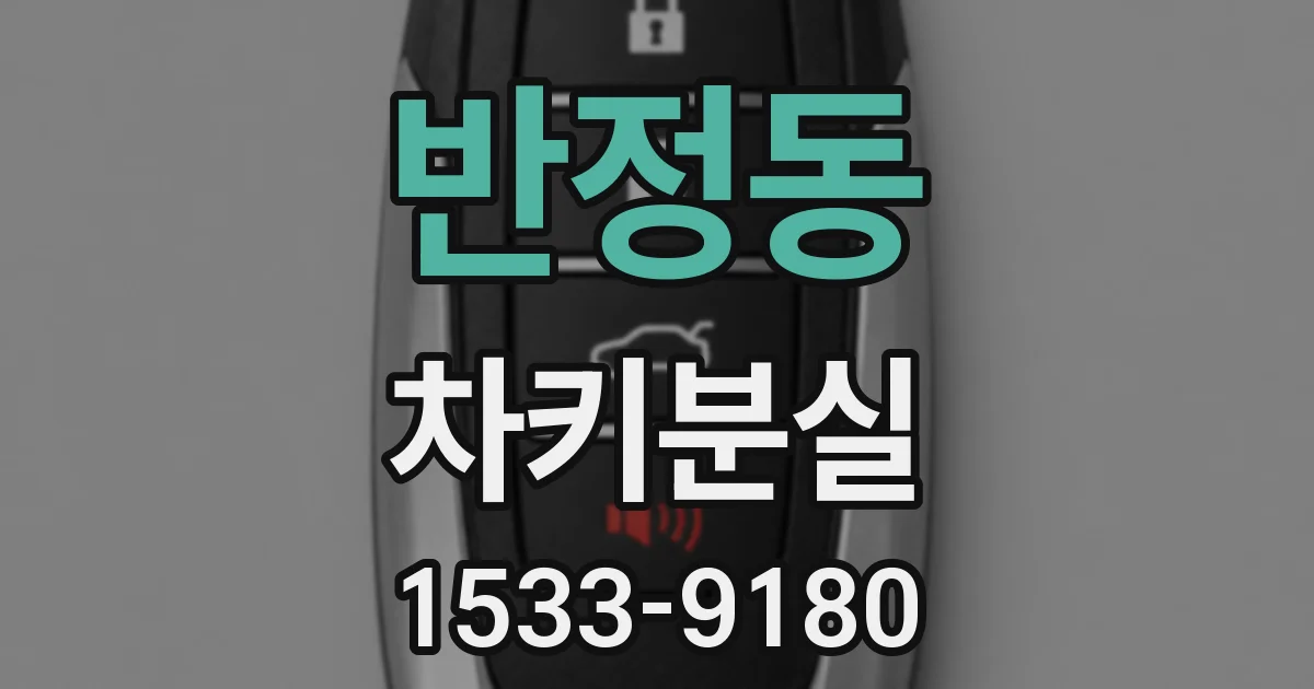 반정동 차키분실