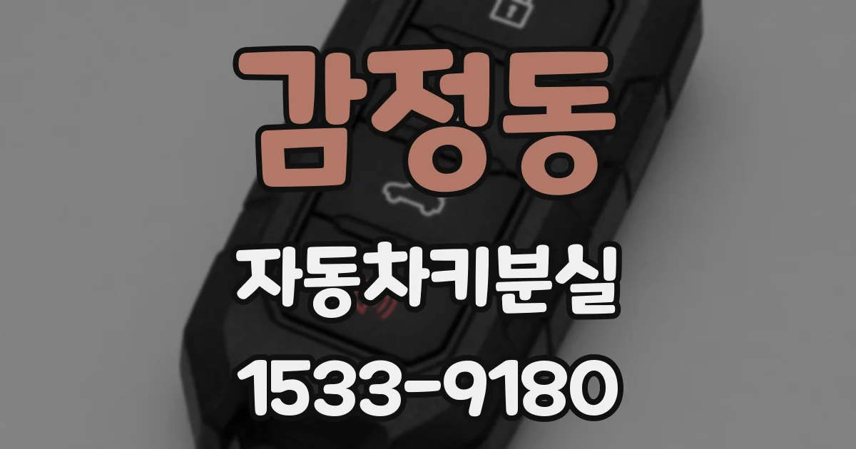 감정동 자동차키분실