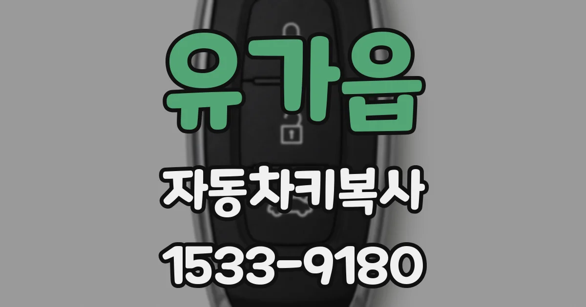 유가읍 자동차키복사