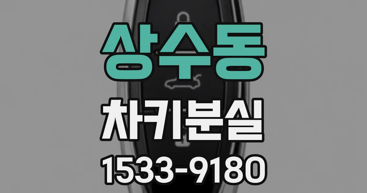 상수동 차키분실