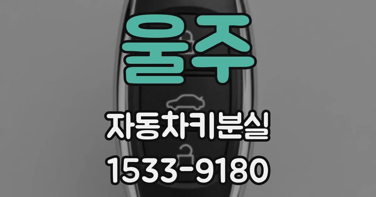 울주 자동차키분실