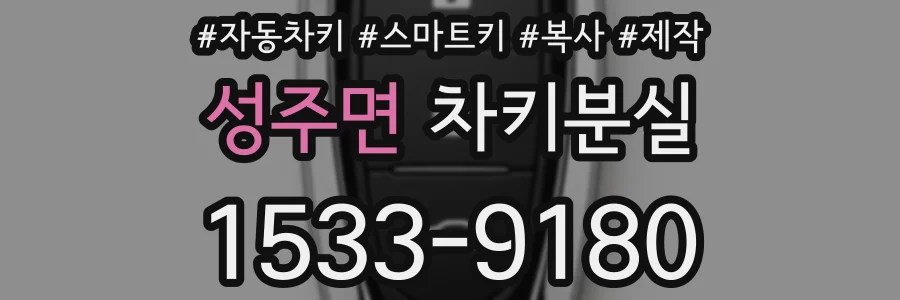성주면 차키분실