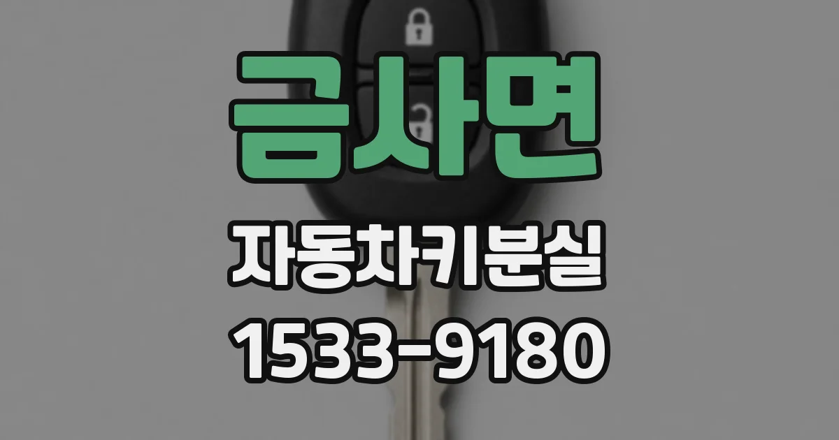금사면 자동차키분실