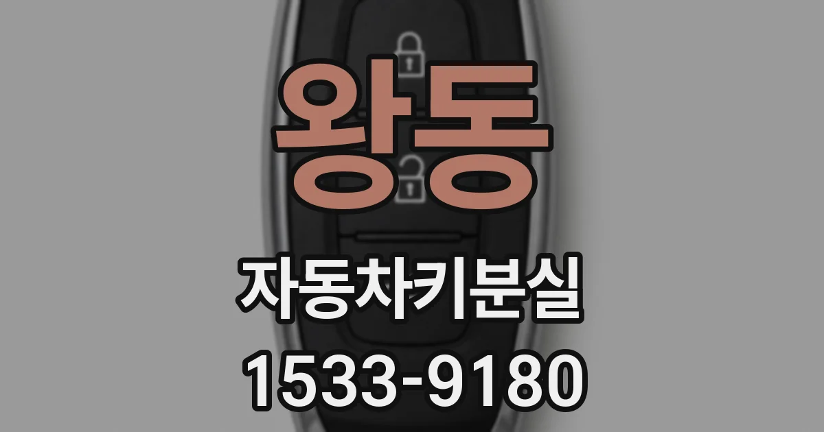 왕동 자동차키분실
