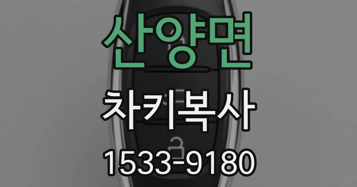 산양면 차키복사