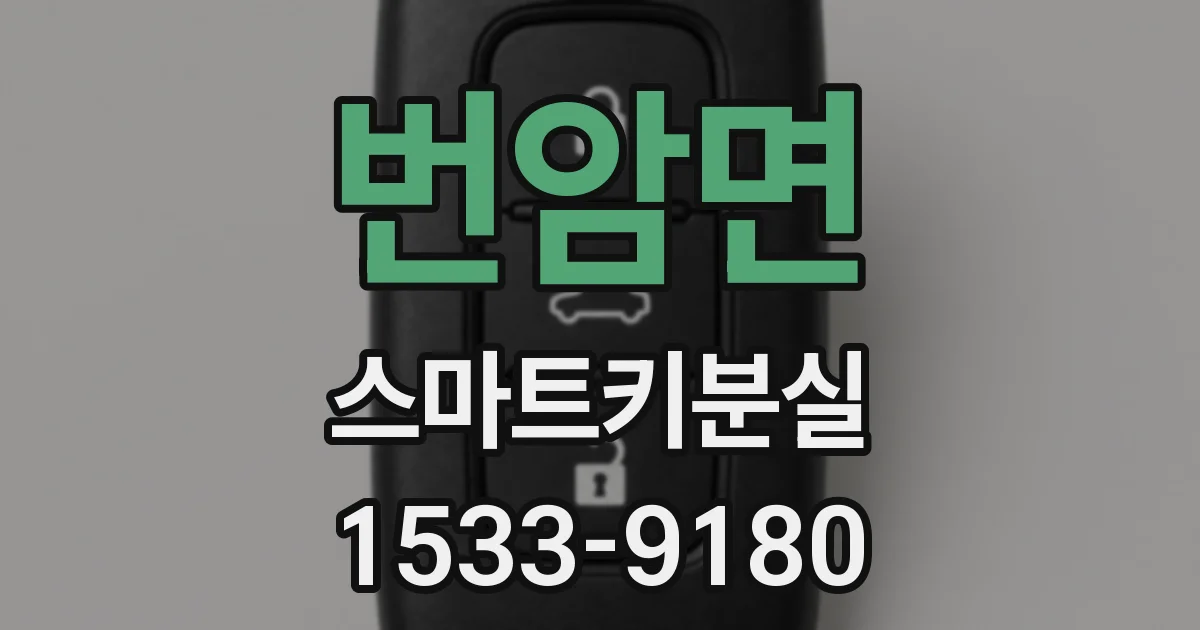 번암면 스마트키분실