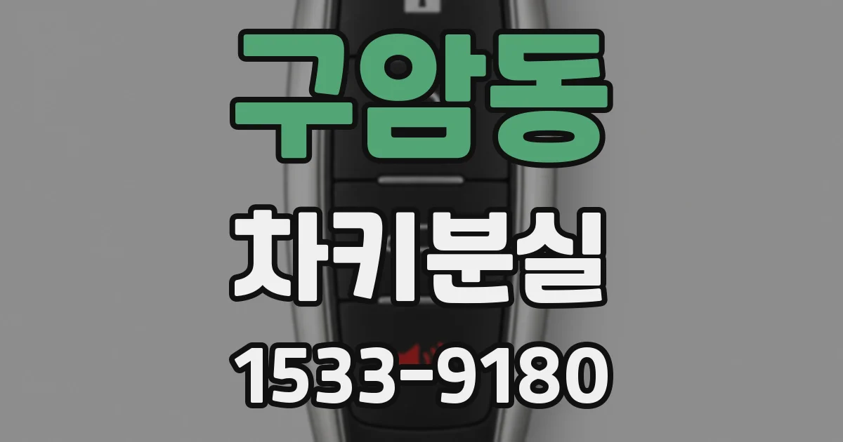 구암동 차키분실